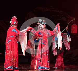 The princess's wedding-Record of Southern Bough-jiangxi operaÃ¢â¬Åfour dreams of linchuanÃ¢â¬Â